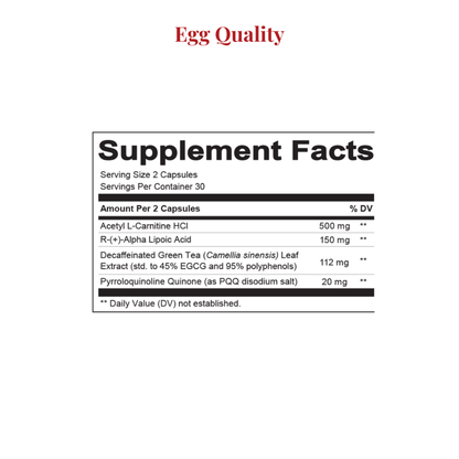 Egg Quality Protocol